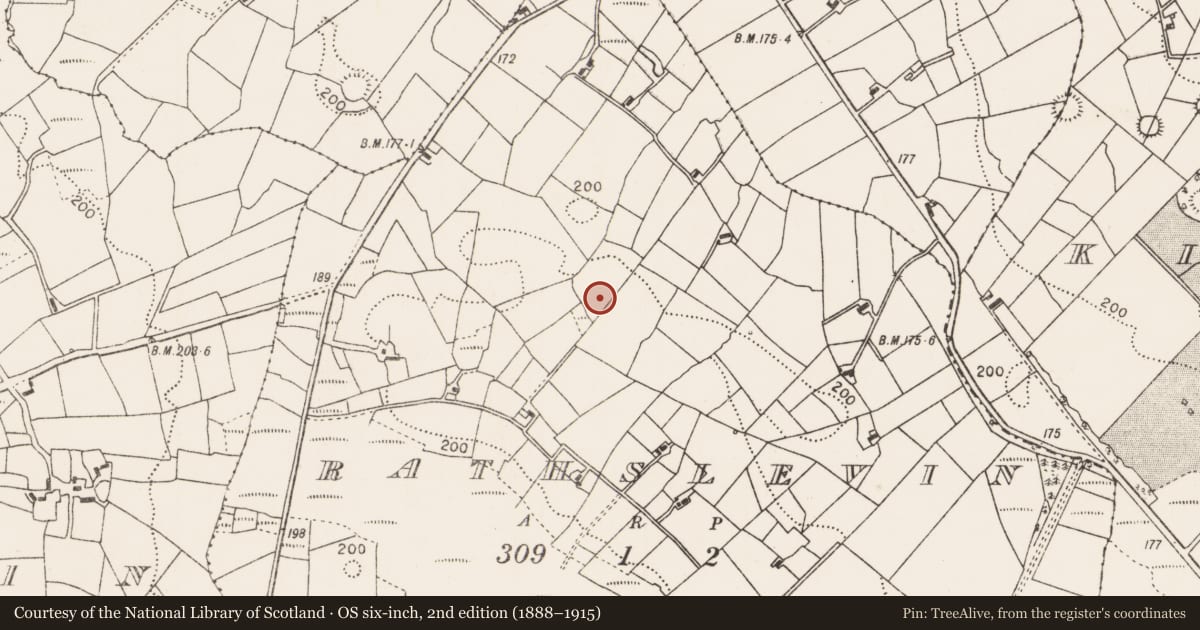 Ordnance Survey six-inch map, 2nd edition (1888–1915) covering the location of Ringfort - rath, Rathslevin, County Mayo, with a pin at the register's coordinates