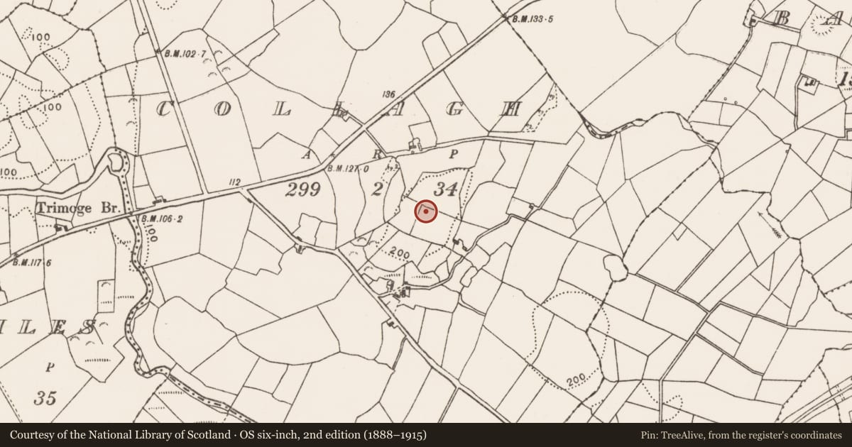 Ordnance Survey six-inch map, 2nd edition (1888–1915) covering the location of Enclosure, Collagh, County Mayo, with a pin at the register's coordinates