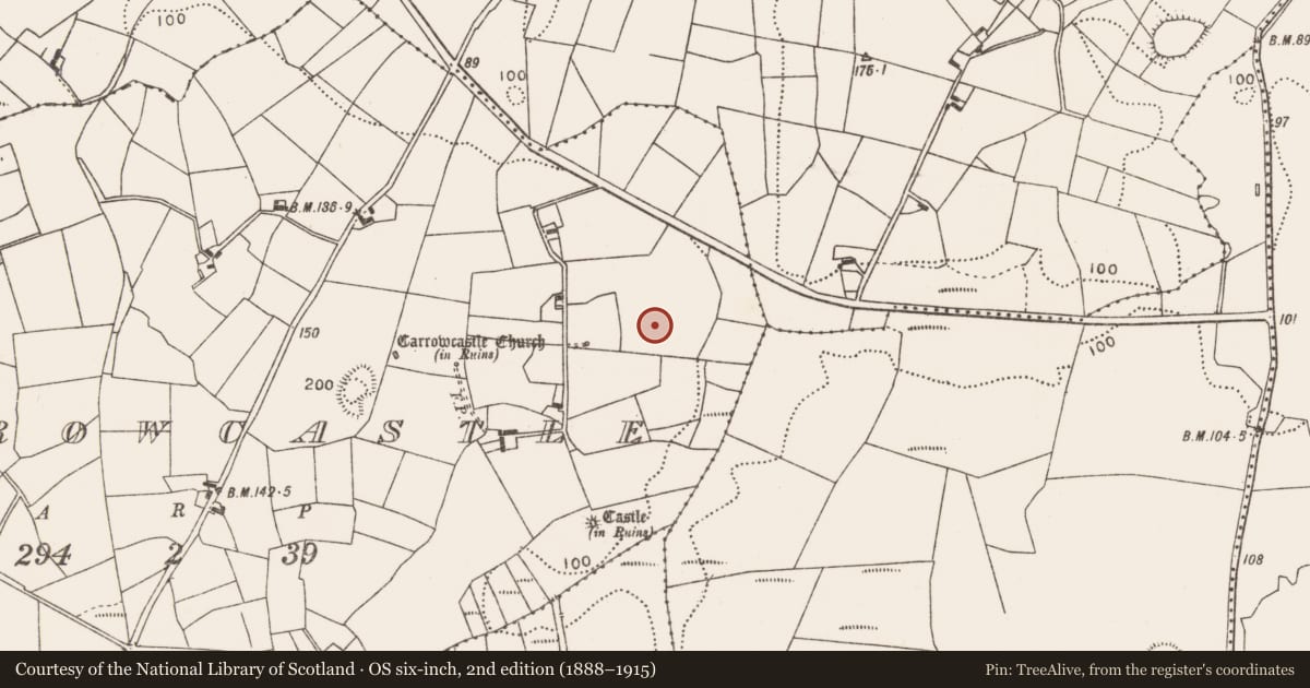 Ordnance Survey six-inch map, 2nd edition (1888–1915) covering the location of Ringfort - rath, Carrowcastle (Gallen By., Bohola Par.), County Mayo, with a pin at the register's coordinates