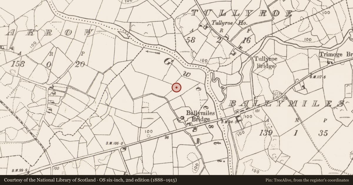 Ordnance Survey six-inch map, 2nd edition (1888–1915) covering the location of Enclosure, Clooneen, County Mayo, with a pin at the register's coordinates