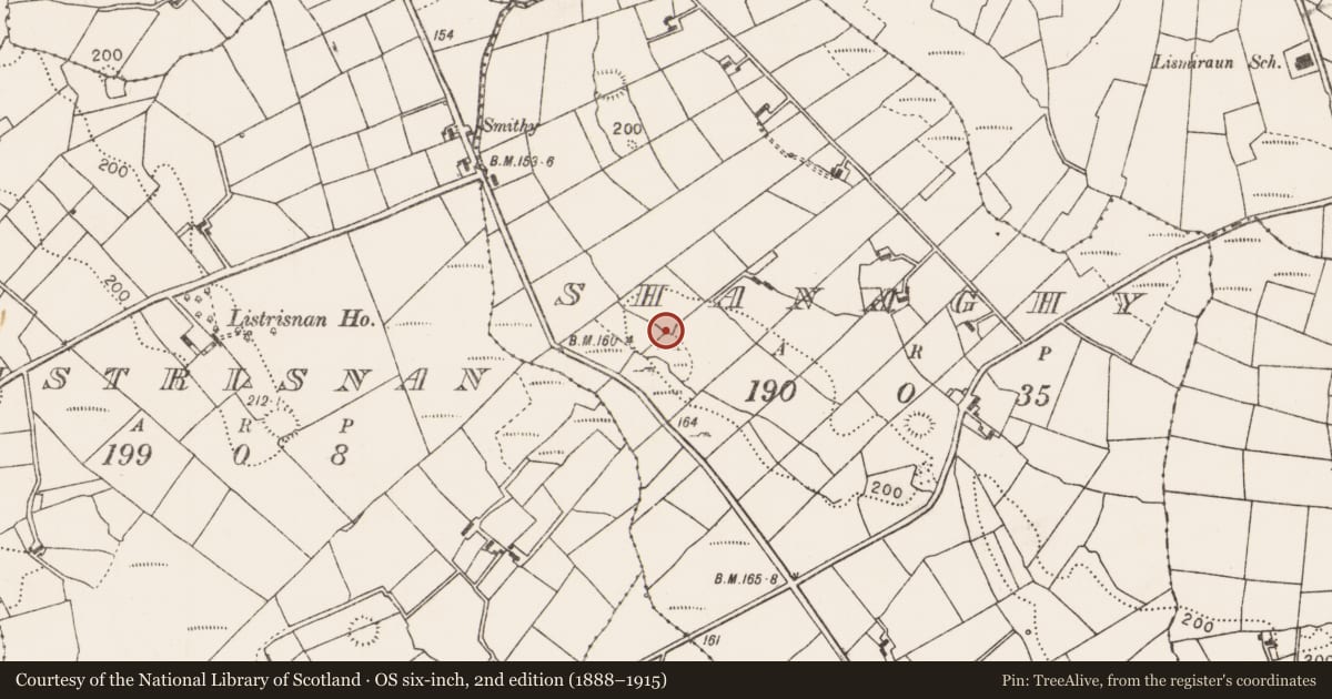 Ordnance Survey six-inch map, 2nd edition (1888–1915) covering the location of House - indeterminate date, Shanaghy, County Mayo, with a pin at the register's coordinates