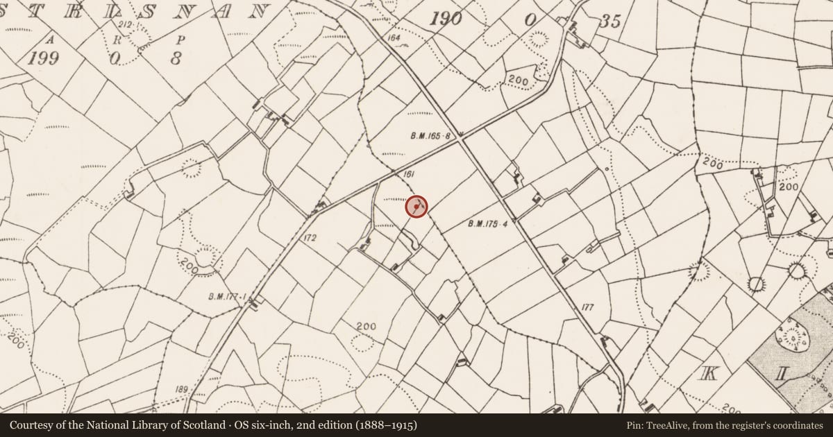 Ordnance Survey six-inch map, 2nd edition (1888–1915) covering the location of Burnt mound, Rathslevin, County Mayo, with a pin at the register's coordinates