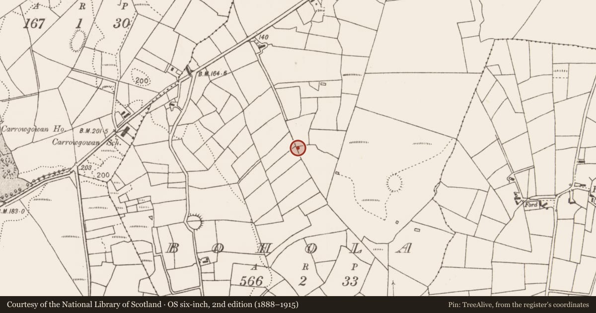 Ordnance Survey six-inch map, 2nd edition (1888–1915) covering the location of Burnt mound, Bohola, County Mayo, with a pin at the register's coordinates