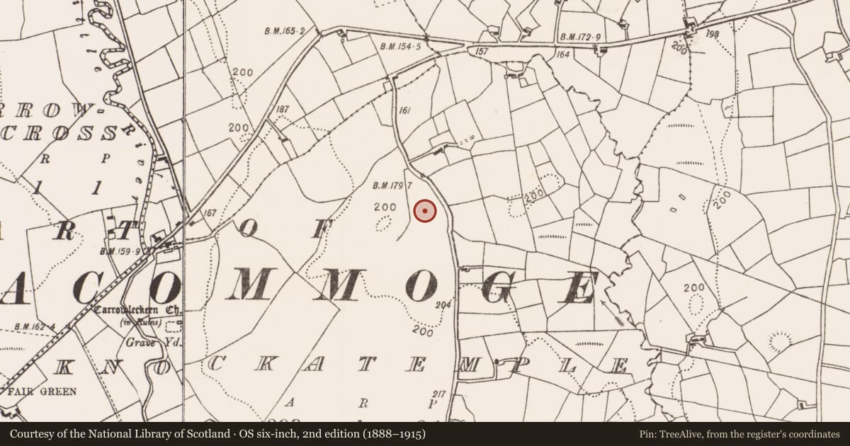 Ordnance Survey six-inch map, 2nd edition (1888–1915) covering the location of Burnt mound, Knockatemple, County Mayo, with a pin at the register's coordinates