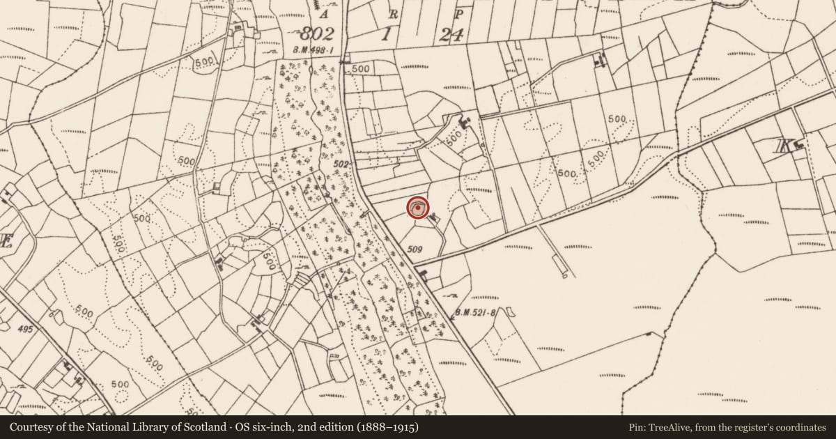 Ordnance Survey six-inch map, 2nd edition (1888–1915) covering the location of Ringfort - cashel, Barnalyra, County Mayo, with a pin at the register's coordinates