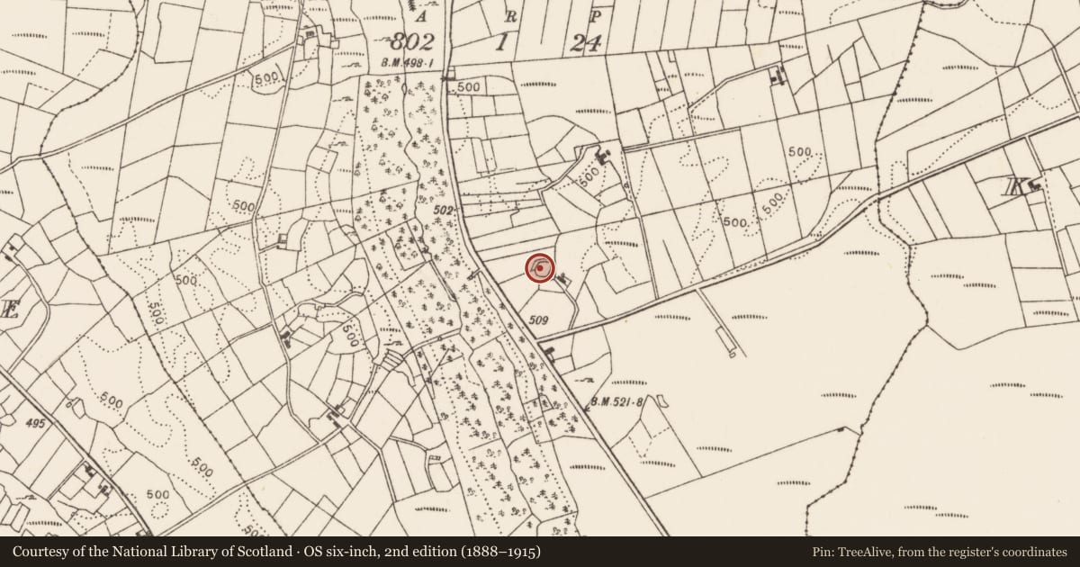 Ordnance Survey six-inch map, 2nd edition (1888–1915) covering the location of Souterrain, Barnalyra, County Mayo, with a pin at the register's coordinates