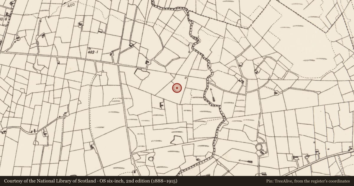 Ordnance Survey six-inch map, 2nd edition (1888–1915) covering the location of Ringfort - rath, Barnalyra, County Mayo, with a pin at the register's coordinates