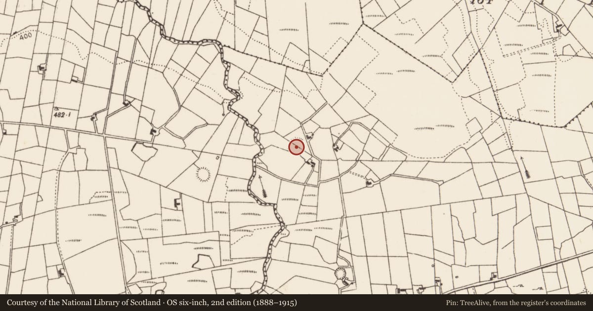 Ordnance Survey six-inch map, 2nd edition (1888–1915) covering the location of Ringfort - rath, Kilgarriff West, County Mayo, with a pin at the register's coordinates