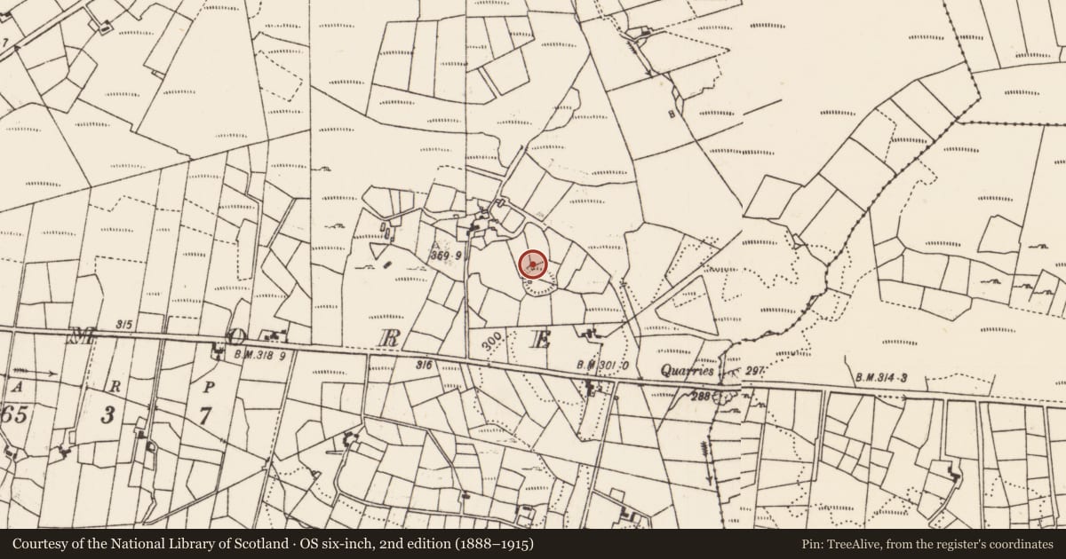 Ordnance Survey six-inch map, 2nd edition (1888–1915) covering the location of Souterrain, Kilmore, County Mayo, with a pin at the register's coordinates