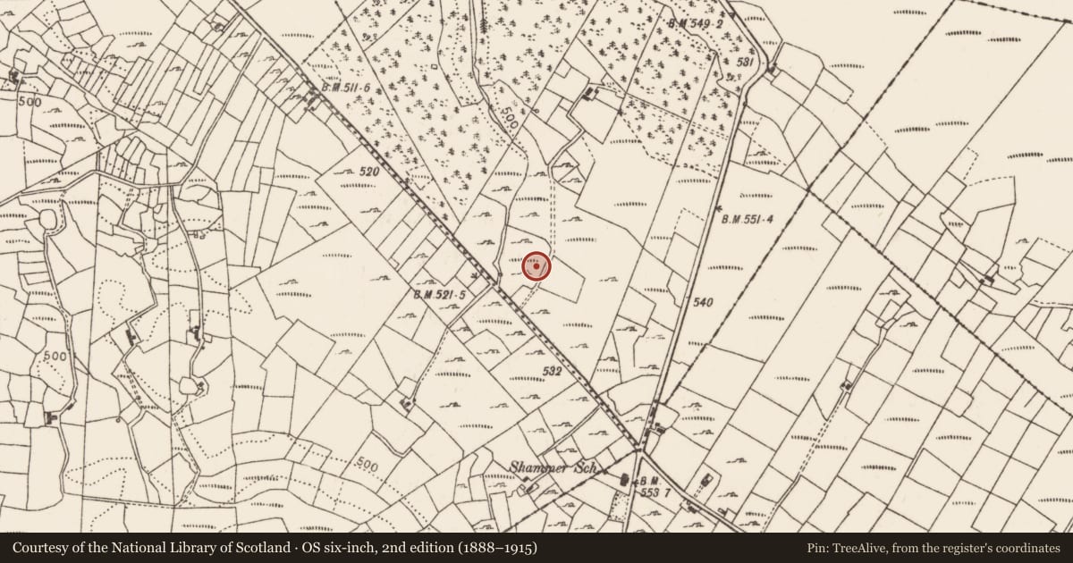 Ordnance Survey six-inch map, 2nd edition (1888–1915) covering the location of Fulacht fia, Barnalyra, County Mayo, with a pin at the register's coordinates