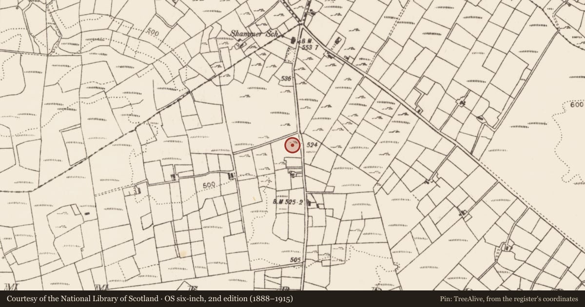 Ordnance Survey six-inch map, 2nd edition (1888–1915) covering the location of Fulacht fia, Shammerdoo, County Mayo, with a pin at the register's coordinates