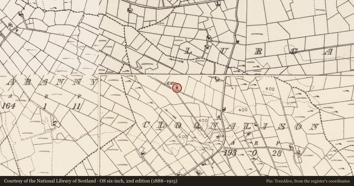 Ordnance Survey six-inch map, 2nd edition (1888–1915) covering the location of Ringfort - rath, Cloonalison, County Mayo, with a pin at the register's coordinates