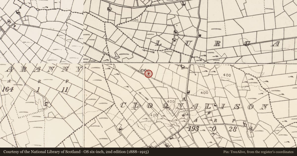 Ordnance Survey six-inch map, 2nd edition (1888–1915) covering the location of Souterrain, Cloonalison, County Mayo, with a pin at the register's coordinates