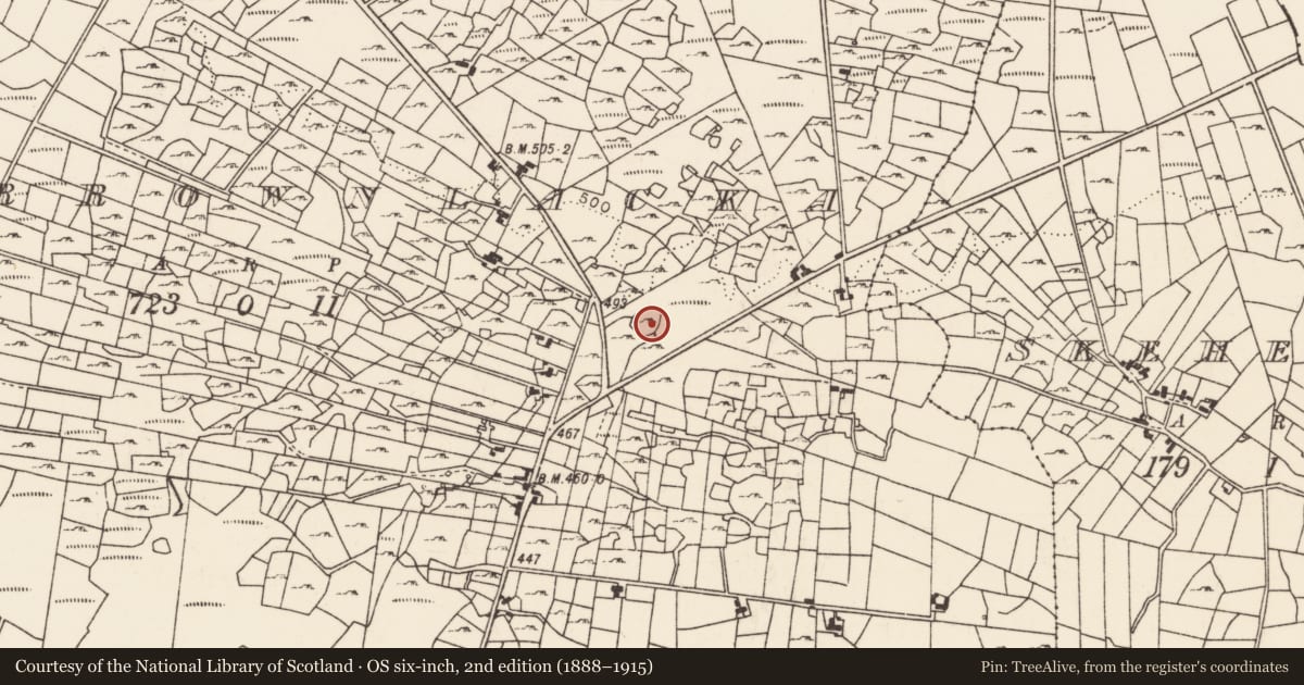 Ordnance Survey six-inch map, 2nd edition (1888–1915) covering the location of Ringfort - cashel, Carrownlacka, County Mayo, with a pin at the register's coordinates