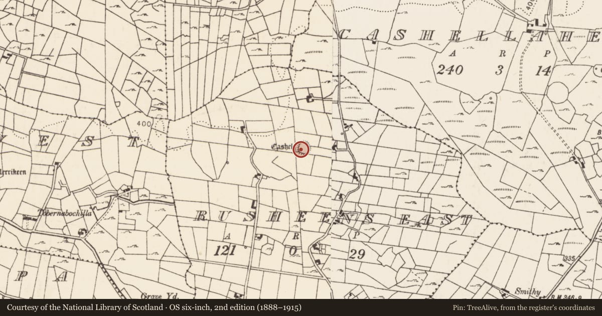 Ordnance Survey six-inch map, 2nd edition (1888–1915) covering the location of Ringfort - cashel, Rusheens East, County Mayo, with a pin at the register's coordinates