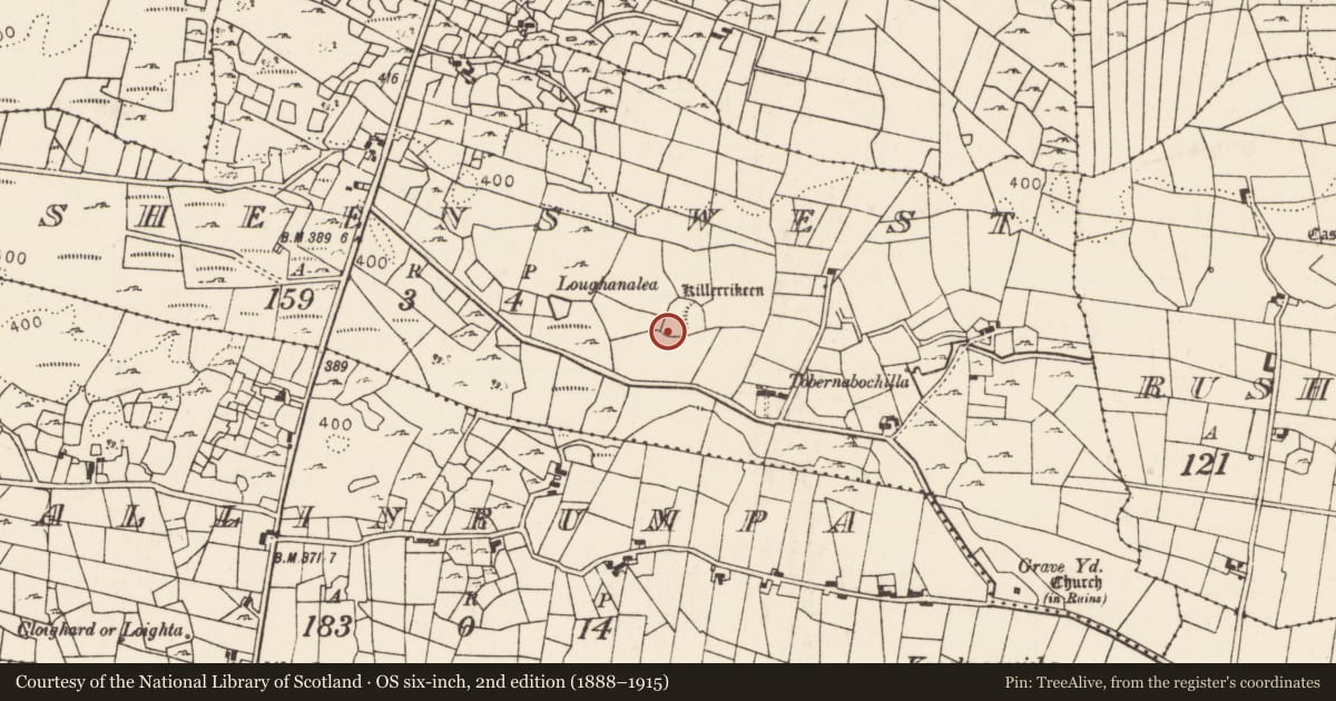 Ordnance Survey six-inch map, 2nd edition (1888–1915) covering the location of Souterrain, Rusheens West, County Mayo, with a pin at the register's coordinates