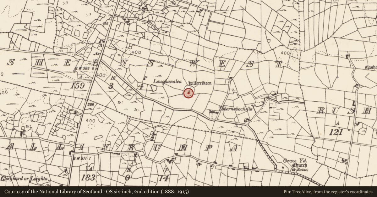 Ordnance Survey six-inch map, 2nd edition (1888–1915) covering the location of Church, Rusheens West, County Mayo, with a pin at the register's coordinates