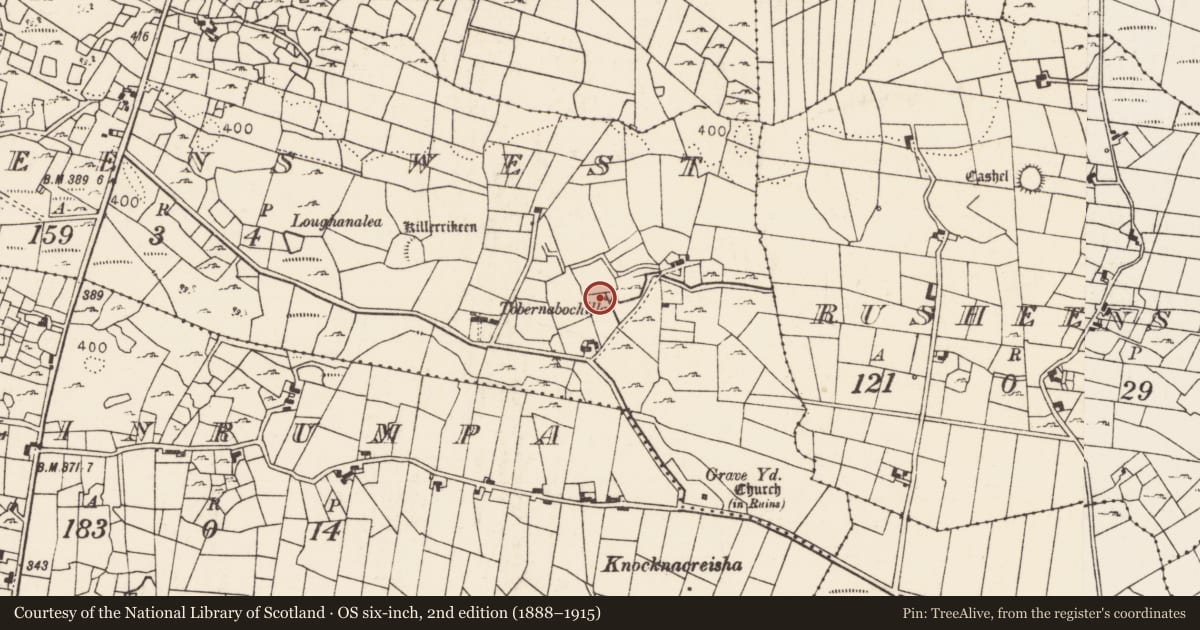 Ordnance Survey six-inch map, 2nd edition (1888–1915) covering the location of Ogham stone, Rusheens West, County Mayo, with a pin at the register's coordinates