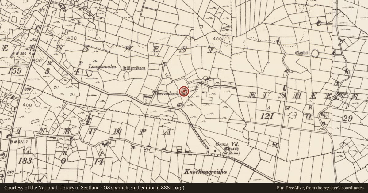 Ordnance Survey six-inch map, 2nd edition (1888–1915) covering the location of Ritual site - holy well, Rusheens West, County Mayo, with a pin at the register's coordinates