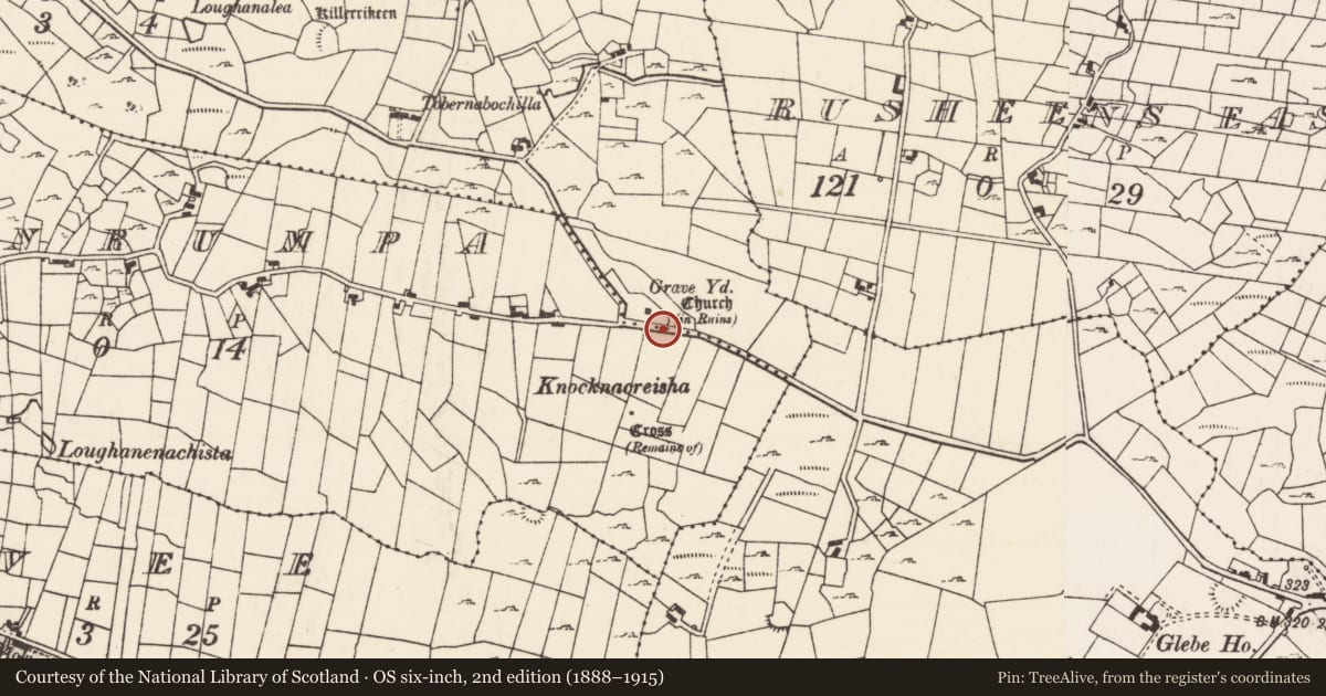 Ordnance Survey six-inch map, 2nd edition (1888–1915) covering the location of Bullaun stone, Rusheens West, County Mayo, with a pin at the register's coordinates