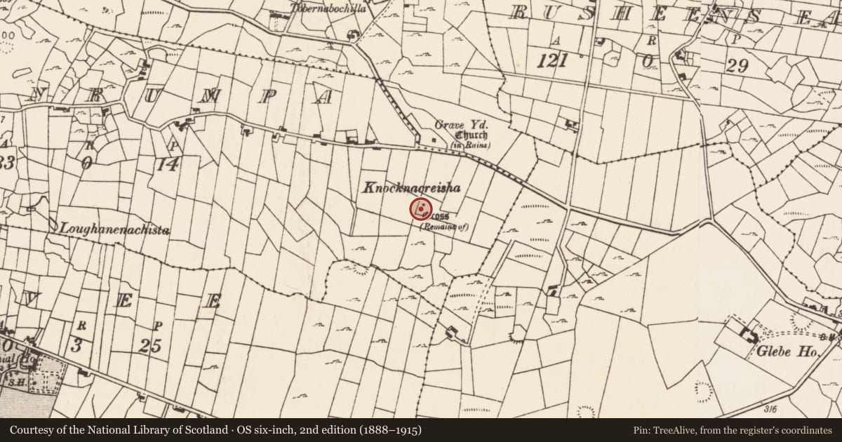 Ordnance Survey six-inch map, 2nd edition (1888–1915) covering the location of Cross, Ballinrumpa, County Mayo, with a pin at the register's coordinates