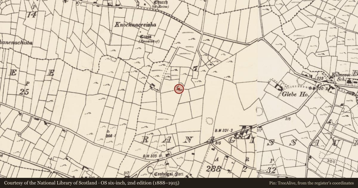 Ordnance Survey six-inch map, 2nd edition (1888–1915) covering the location of Ringfort - rath, Ranagissaun, County Mayo, with a pin at the register's coordinates