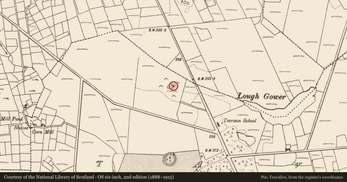 Ordnance Survey six-inch map, 2nd edition (1888–1915) covering the location of Enclosure, Tavraun, County Mayo, with a pin at the register's coordinates
