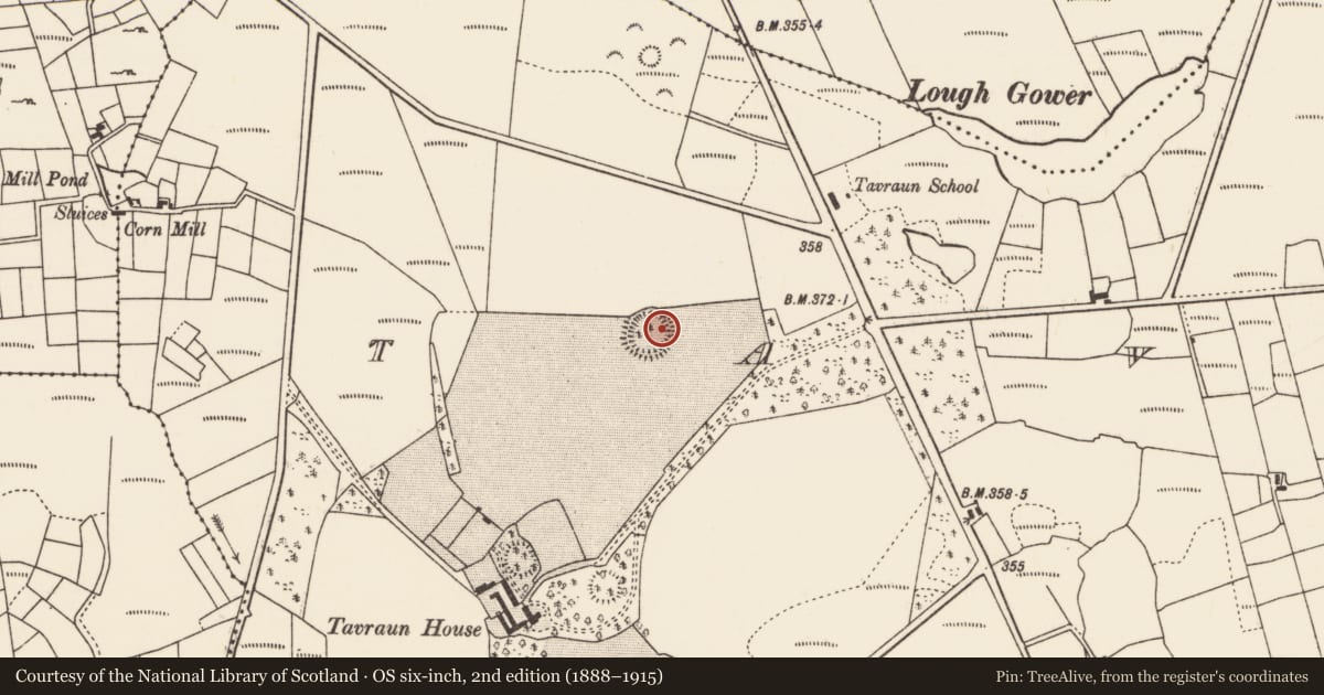 Ordnance Survey six-inch map, 2nd edition (1888–1915) covering the location of Ringfort - rath, Tavraun, County Mayo, with a pin at the register's coordinates