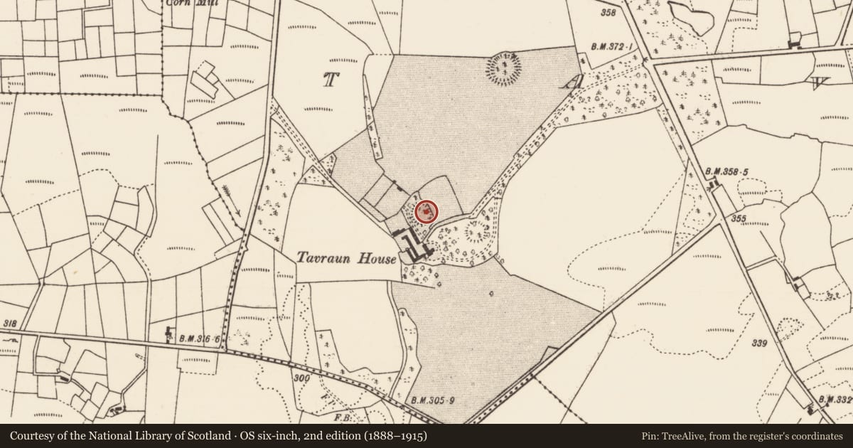 Ordnance Survey six-inch map, 2nd edition (1888–1915) covering the location of Ringfort - rath, Tavraun, County Mayo, with a pin at the register's coordinates