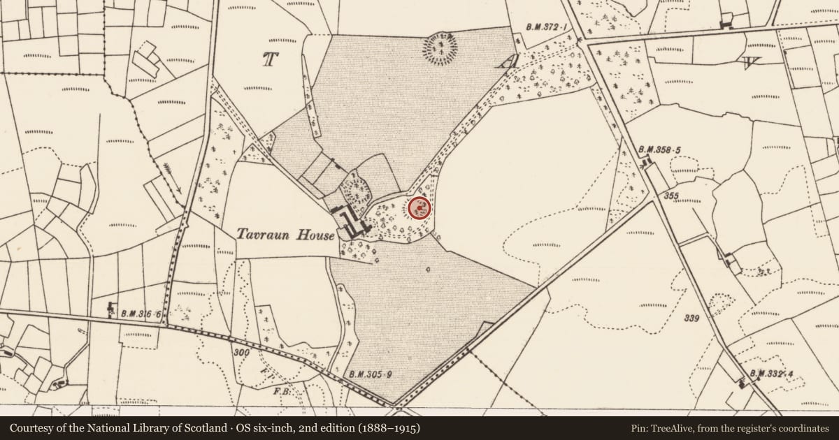 Ordnance Survey six-inch map, 2nd edition (1888–1915) covering the location of Ringfort - rath, Tavraun, County Mayo, with a pin at the register's coordinates