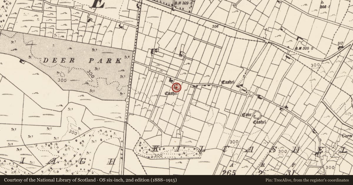 Ordnance Survey six-inch map, 2nd edition (1888–1915) covering the location of Ringfort - cashel, Kilcashel, County Mayo, with a pin at the register's coordinates