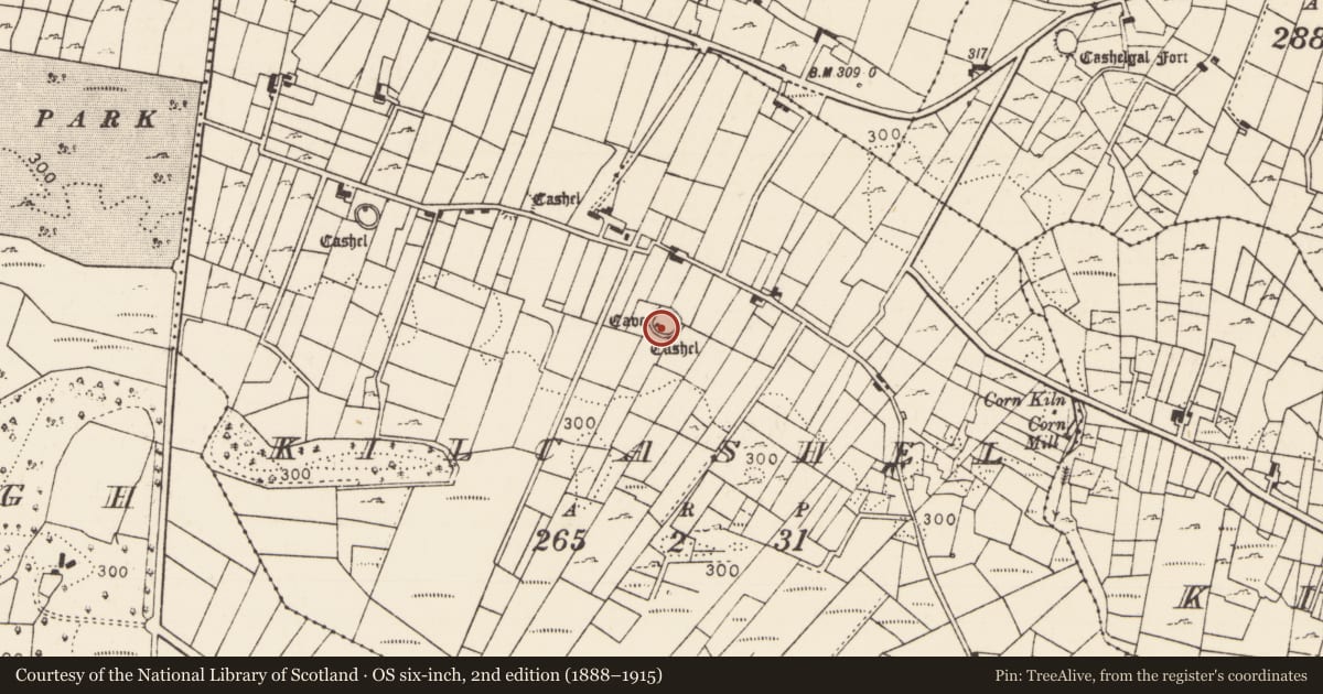Ordnance Survey six-inch map, 2nd edition (1888–1915) covering the location of House - indeterminate date, Kilcashel, County Mayo, with a pin at the register's coordinates