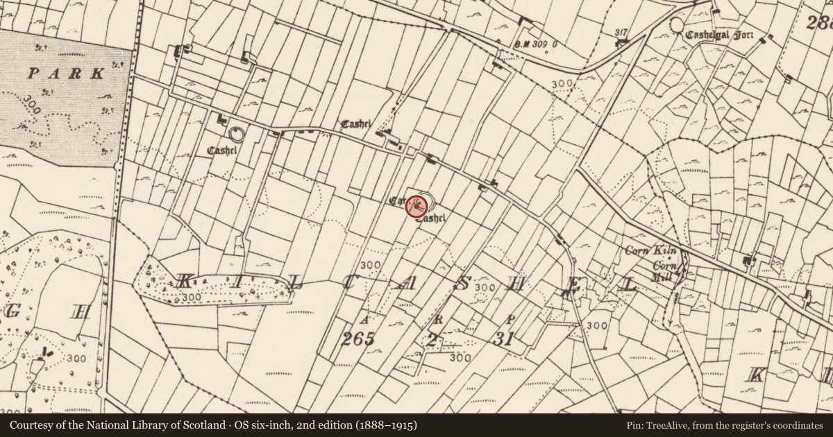 Ordnance Survey six-inch map, 2nd edition (1888–1915) covering the location of Souterrain, Kilcashel, County Mayo, with a pin at the register's coordinates