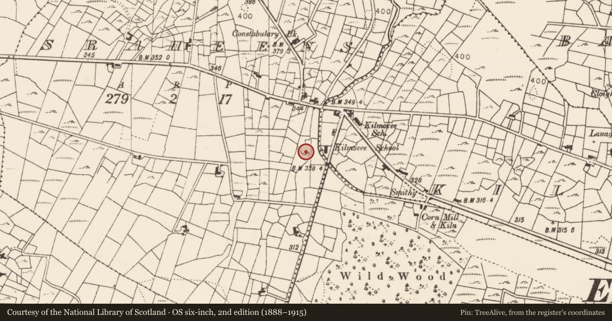 Ordnance Survey six-inch map, 2nd edition (1888–1915) covering the location of Enclosure, Sraheens, County Mayo, with a pin at the register's coordinates