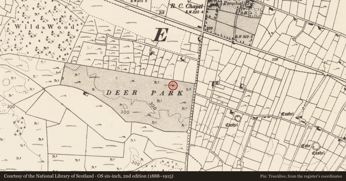 Ordnance Survey six-inch map, 2nd edition (1888–1915) covering the location of Enclosure, Culliagh, County Mayo, with a pin at the register's coordinates