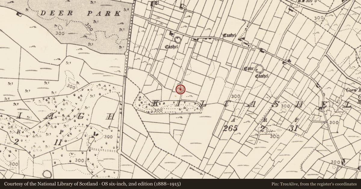 Ordnance Survey six-inch map, 2nd edition (1888–1915) covering the location of Bullaun stone, Kilcashel, County Mayo, with a pin at the register's coordinates