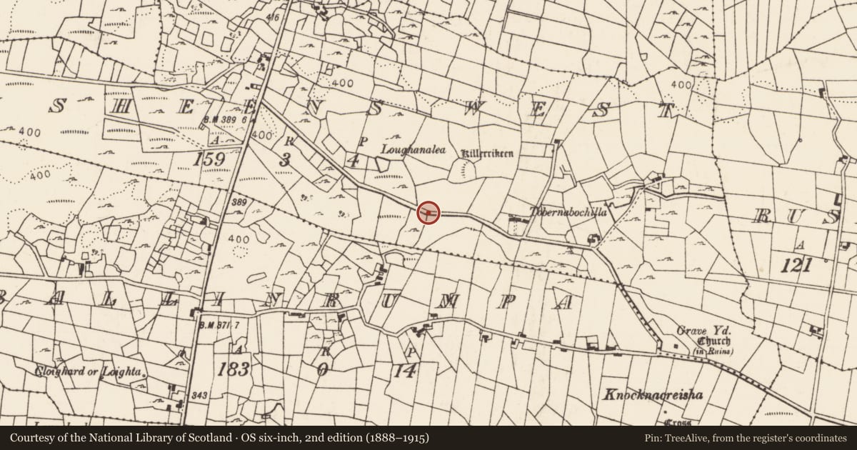 Ordnance Survey six-inch map, 2nd edition (1888–1915) covering the location of Bullaun stone, Rusheens West, County Mayo, with a pin at the register's coordinates