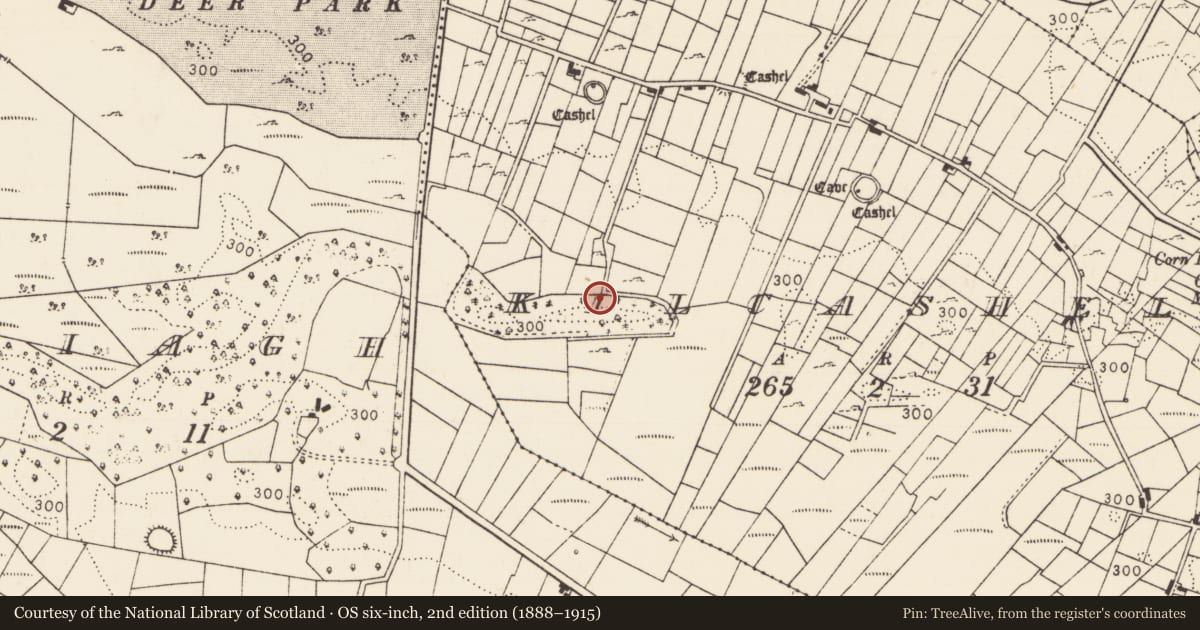 Ordnance Survey six-inch map, 2nd edition (1888–1915) covering the location of Bullaun stone (present location), Kilcashel, County Mayo, with a pin at the register's coordinates