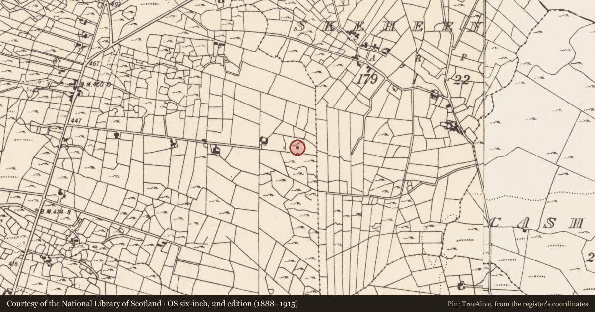 Ordnance Survey six-inch map, 2nd edition (1888–1915) covering the location of Bullaun stone, Carrownlacka, County Mayo, with a pin at the register's coordinates