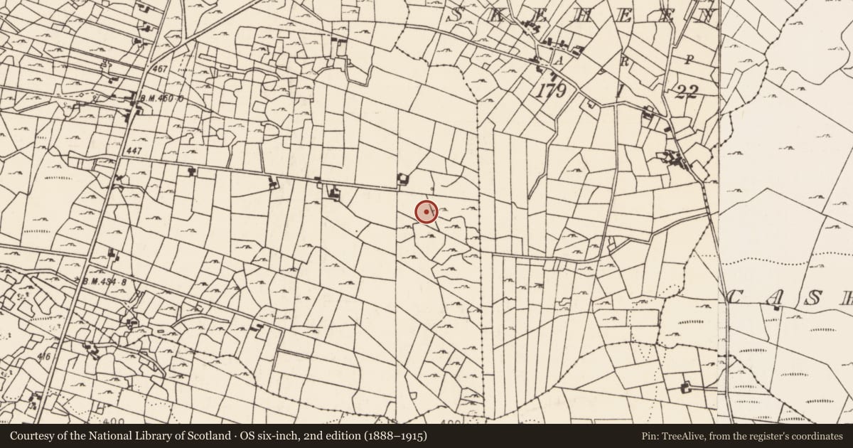 Ordnance Survey six-inch map, 2nd edition (1888–1915) covering the location of Bullaun stone, Carrownlacka, County Mayo, with a pin at the register's coordinates