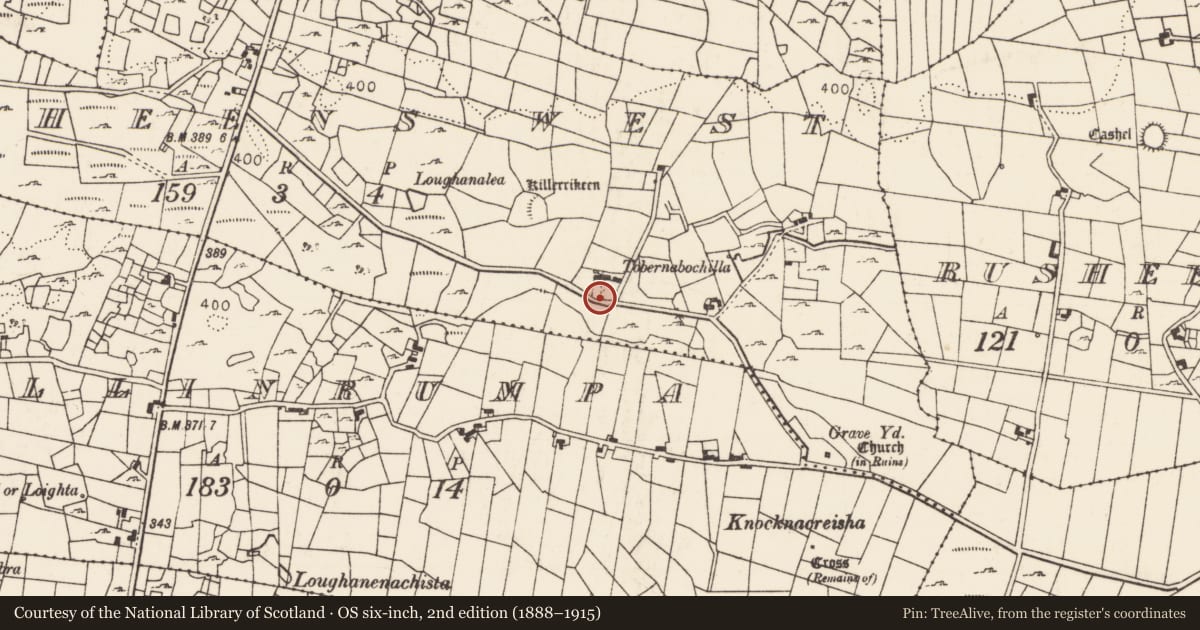 Ordnance Survey six-inch map, 2nd edition (1888–1915) covering the location of Bullaun stone, Rusheens West, County Mayo, with a pin at the register's coordinates