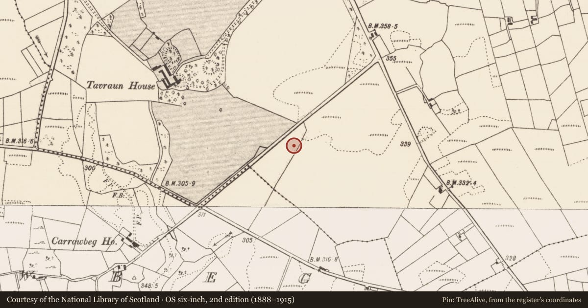 Ordnance Survey six-inch map, 2nd edition (1888–1915) covering the location of Mass-rock, Tavraun, County Mayo, with a pin at the register's coordinates