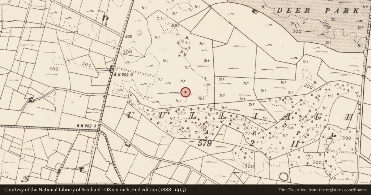 Ordnance Survey six-inch map, 2nd edition (1888–1915) covering the location of Ringfort - rath, Culliagh, County Mayo, with a pin at the register's coordinates