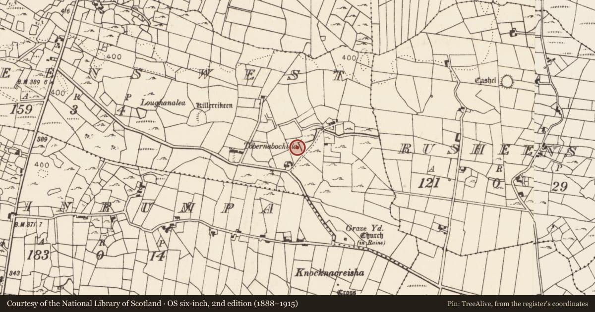 Ordnance Survey six-inch map, 2nd edition (1888–1915) covering the location of Burnt mound, Rusheens West, County Mayo, with a pin at the register's coordinates