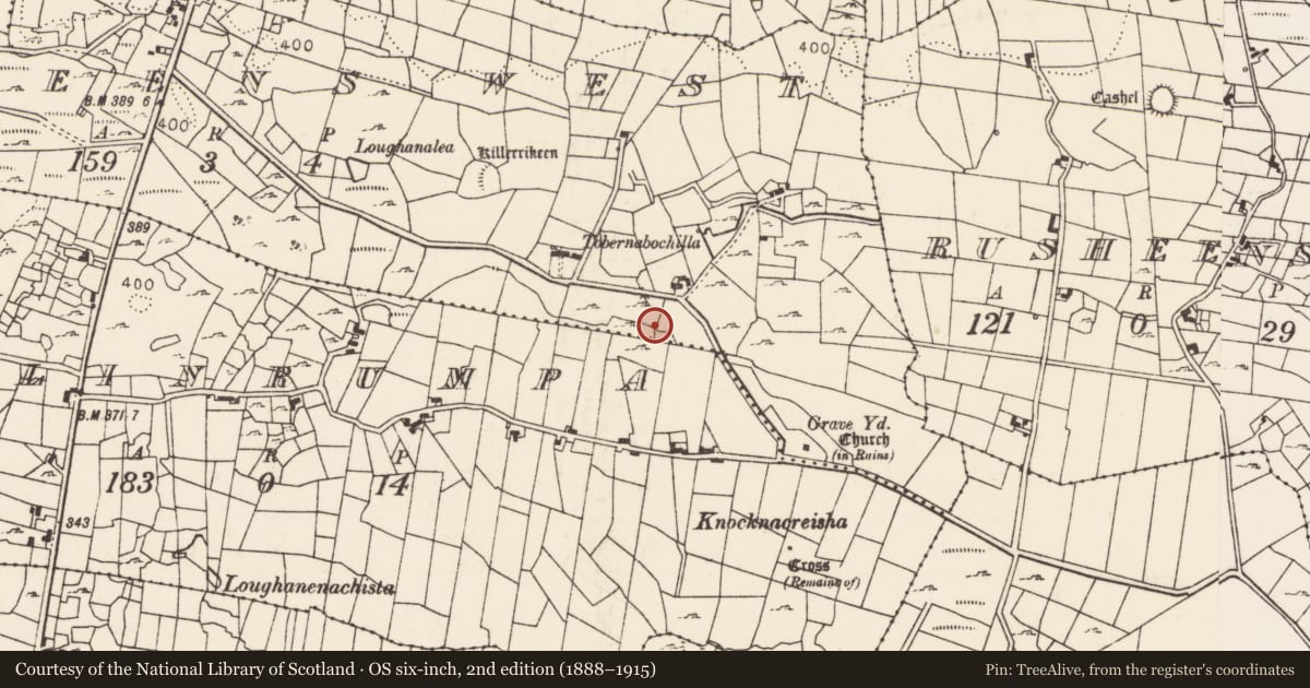 Ordnance Survey six-inch map, 2nd edition (1888–1915) covering the location of Fulacht fia, Rusheens West, County Mayo, with a pin at the register's coordinates
