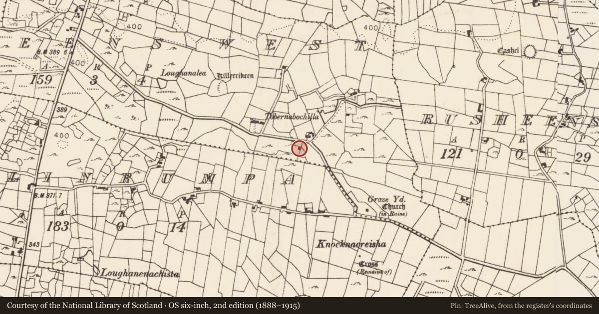 Ordnance Survey six-inch map, 2nd edition (1888–1915) covering the location of Burnt mound, Rusheens West, County Mayo, with a pin at the register's coordinates