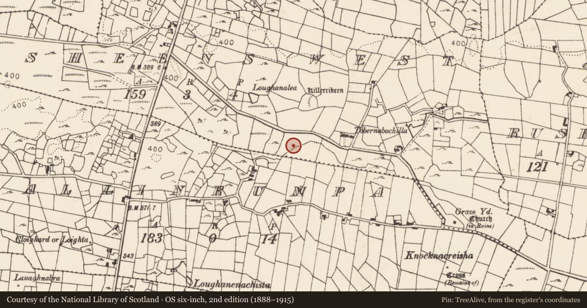 Ordnance Survey six-inch map, 2nd edition (1888–1915) covering the location of Fulacht fia, Rusheens West, County Mayo, with a pin at the register's coordinates
