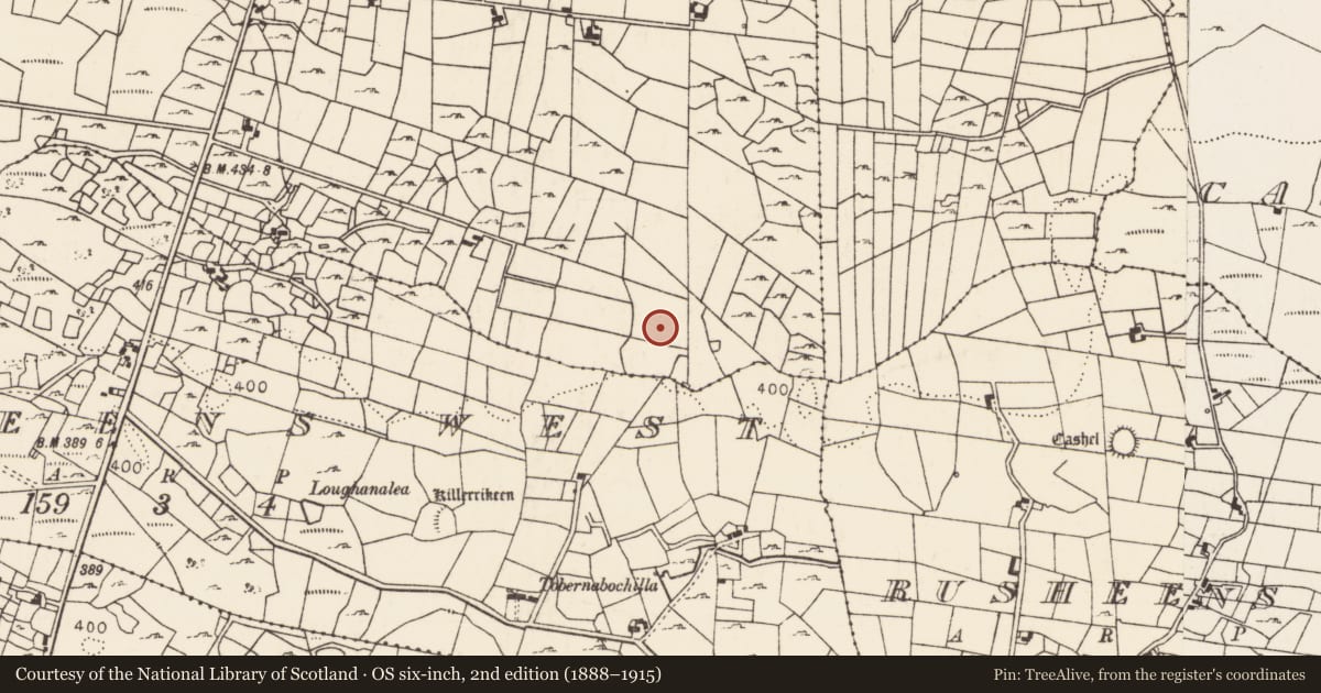 Ordnance Survey six-inch map, 2nd edition (1888–1915) covering the location of Enclosure, Carrownlacka, County Mayo, with a pin at the register's coordinates