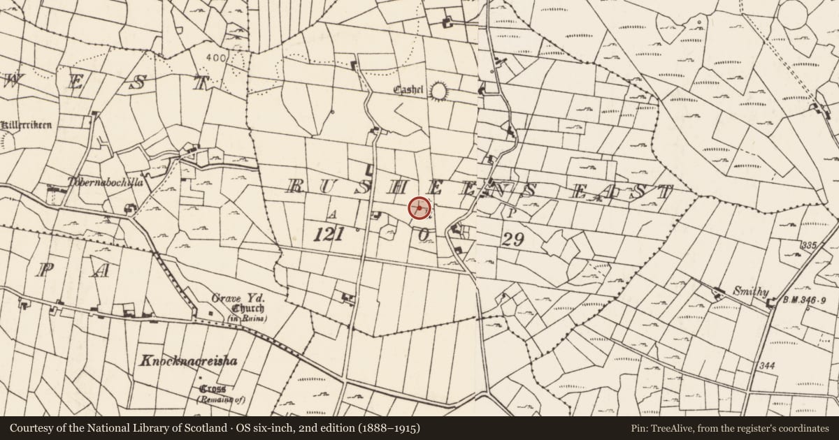 Ordnance Survey six-inch map, 2nd edition (1888–1915) covering the location of Souterrain, Rusheens East, County Mayo, with a pin at the register's coordinates