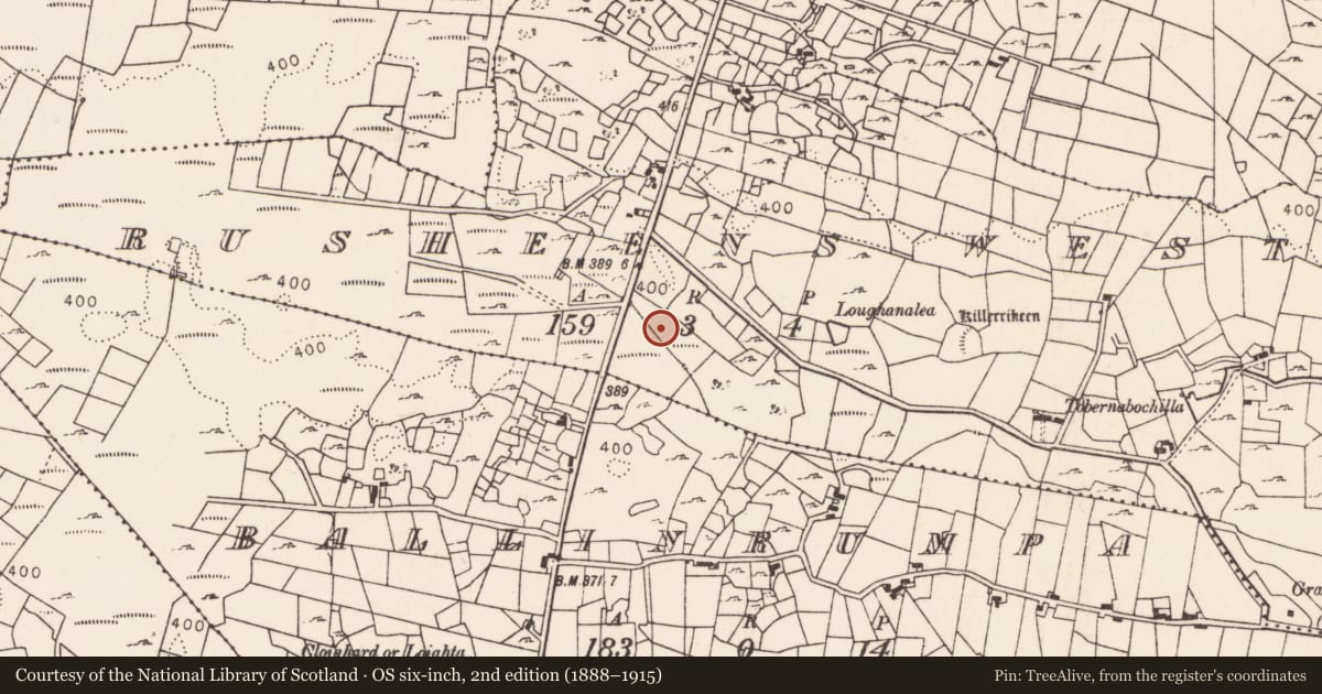 Ordnance Survey six-inch map, 2nd edition (1888–1915) covering the location of Burnt mound, Rusheens West, County Mayo, with a pin at the register's coordinates